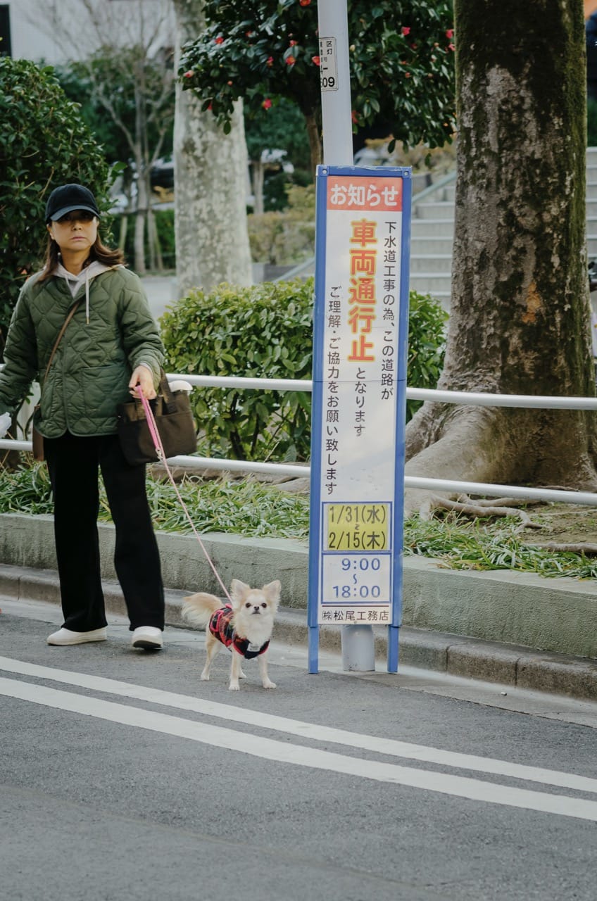 Превью Tokyo 2024